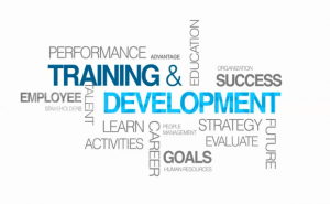TRAINING & DEVELOPMENT